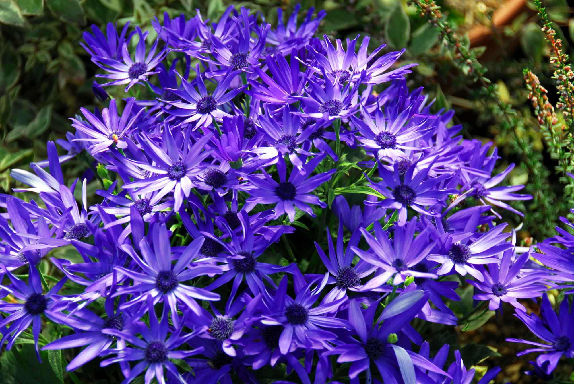 08