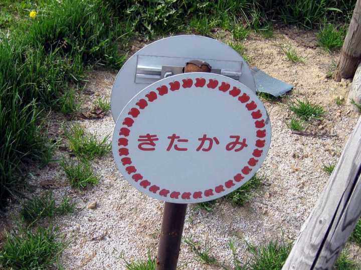 06