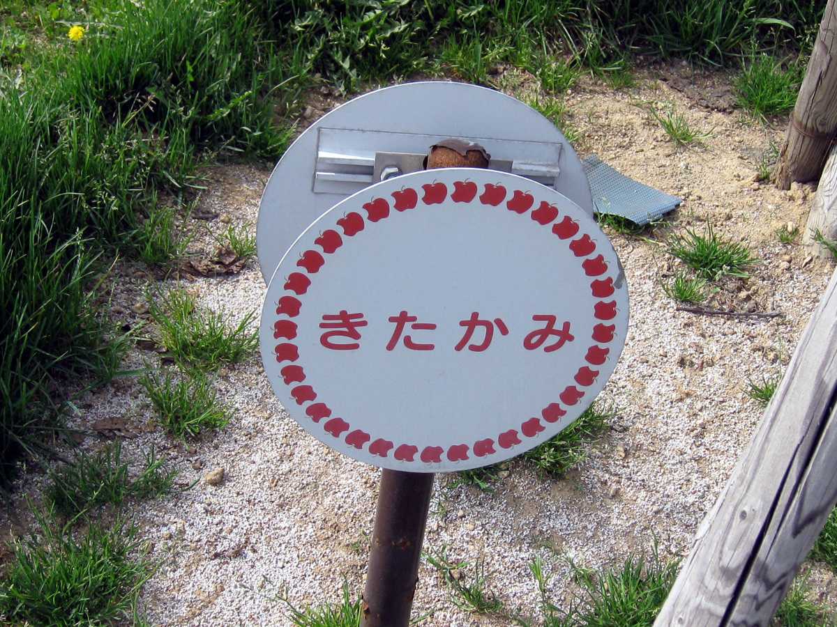06