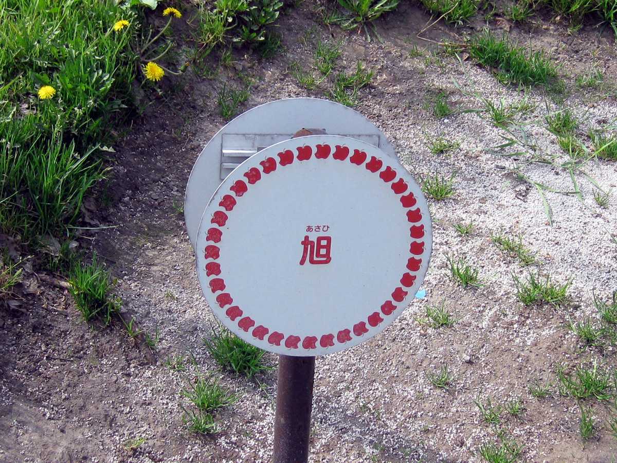 08