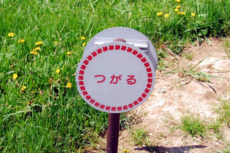 06