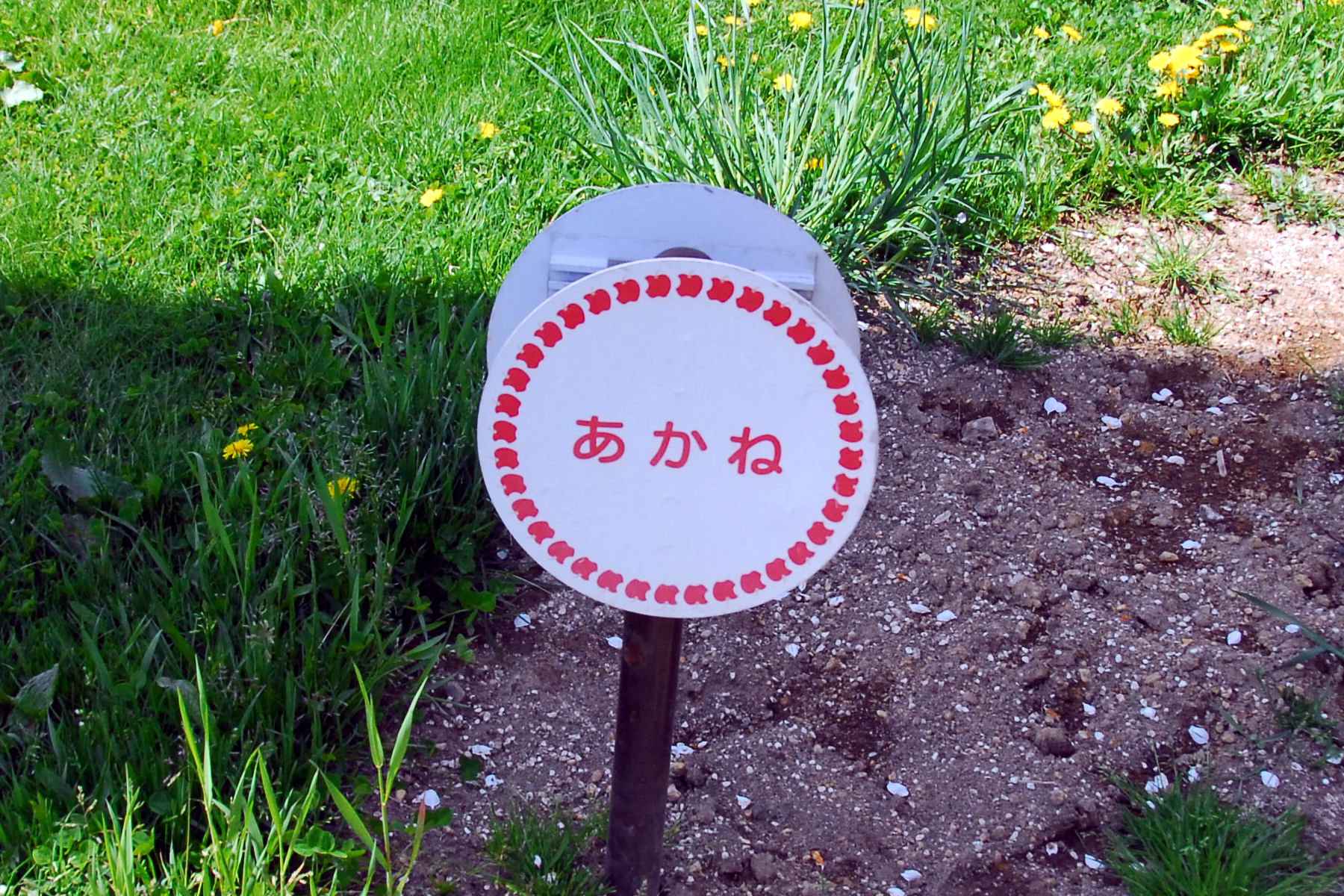 06