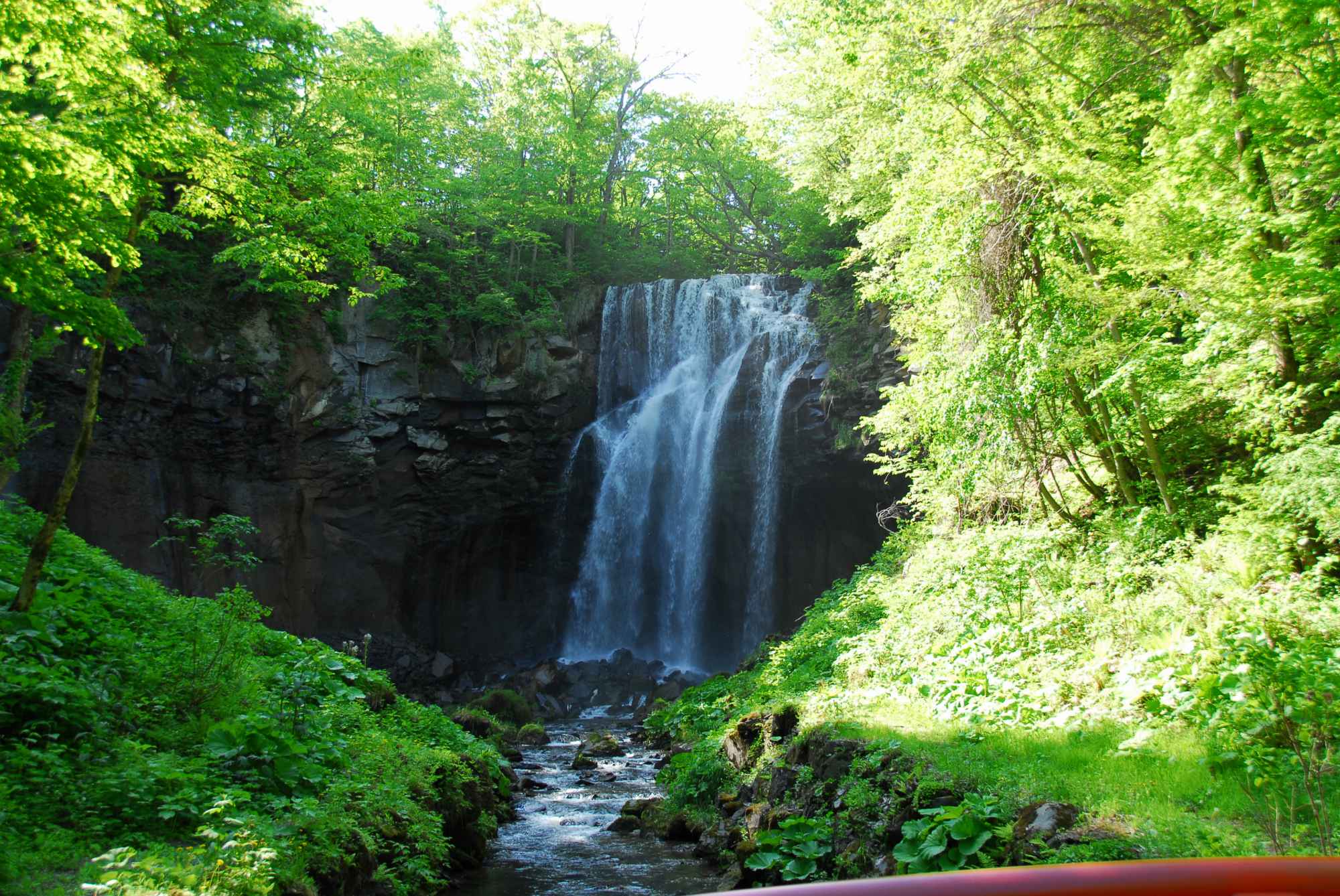 09