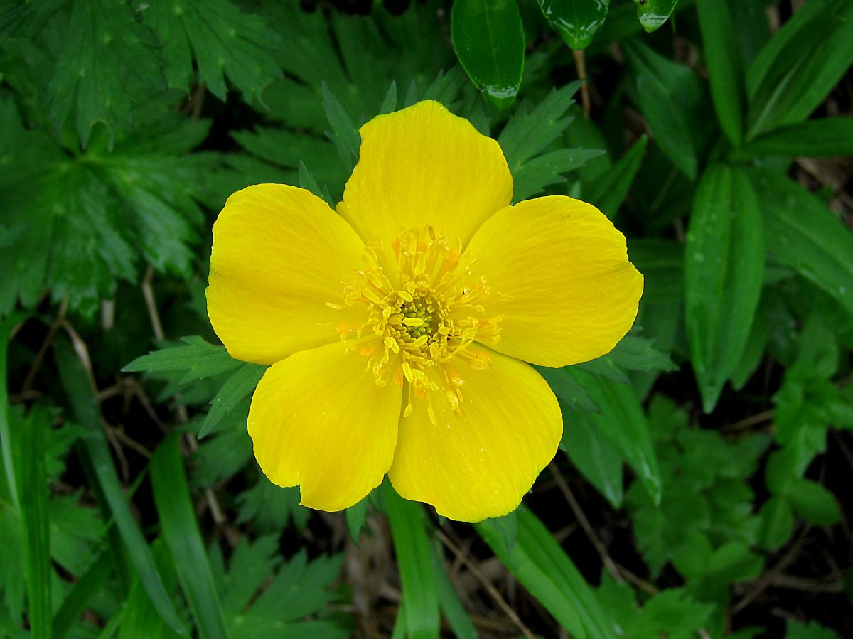 04