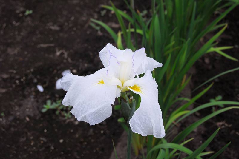 07