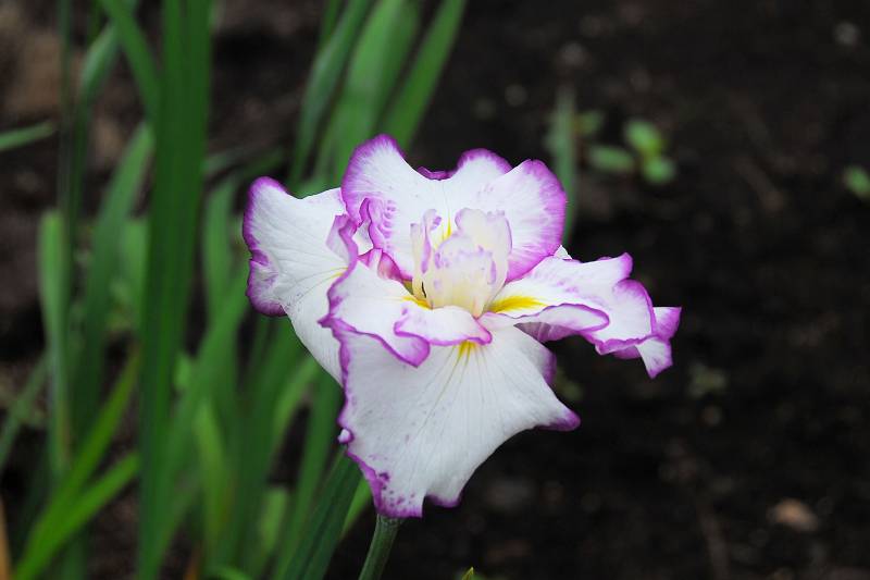09