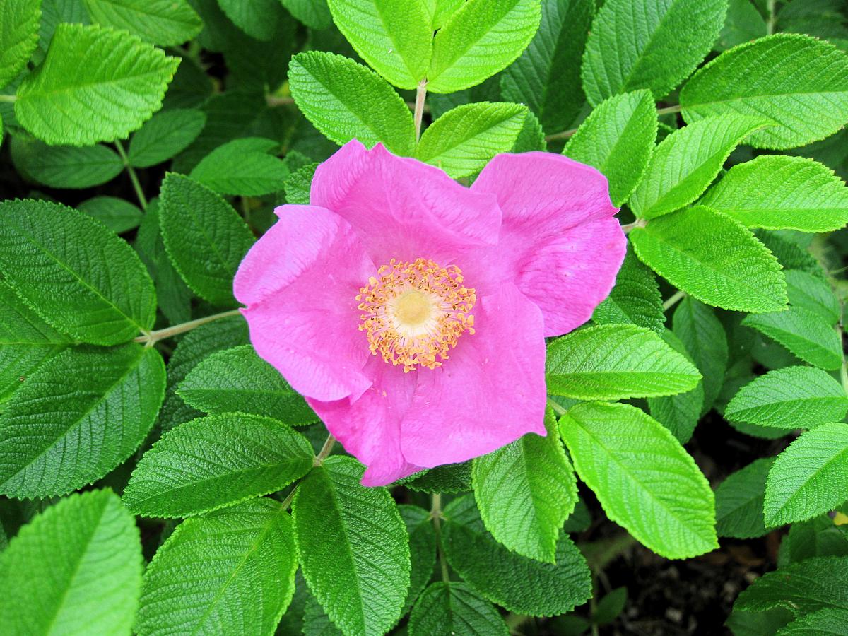 05