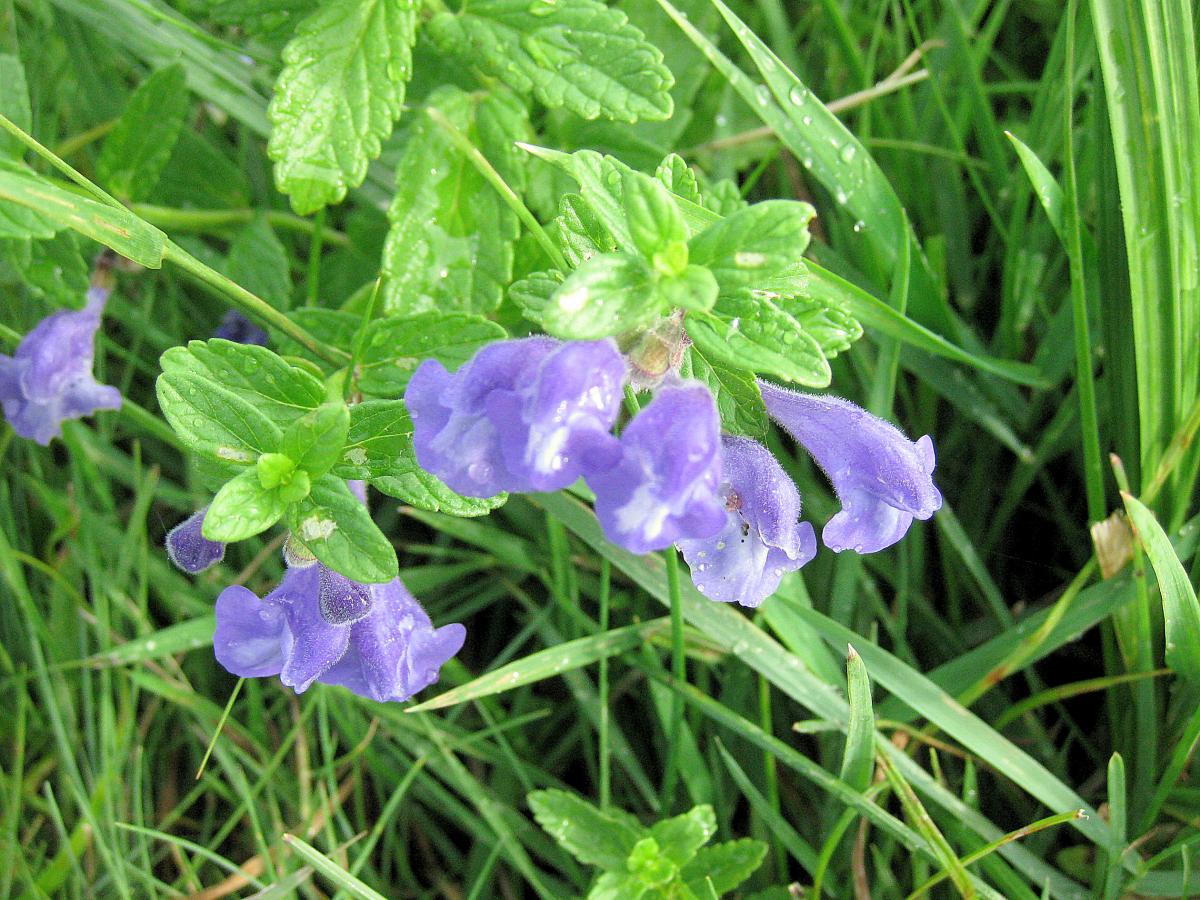 04