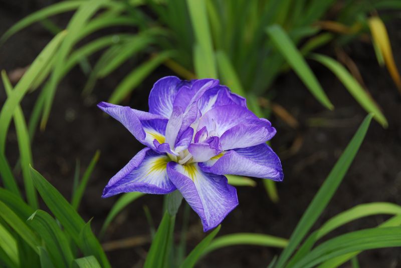 06