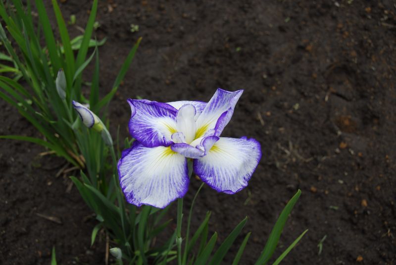 07