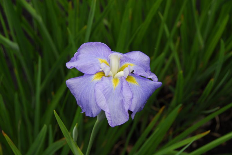 09