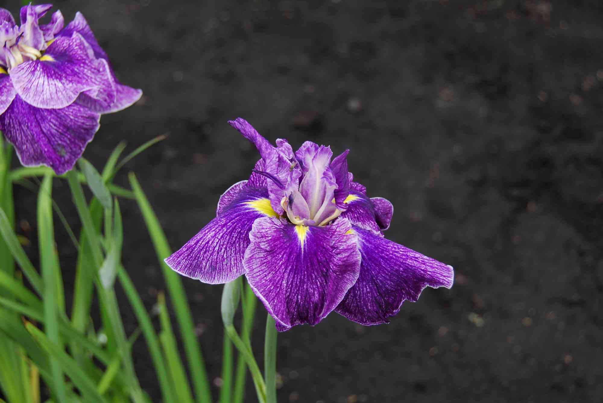 08