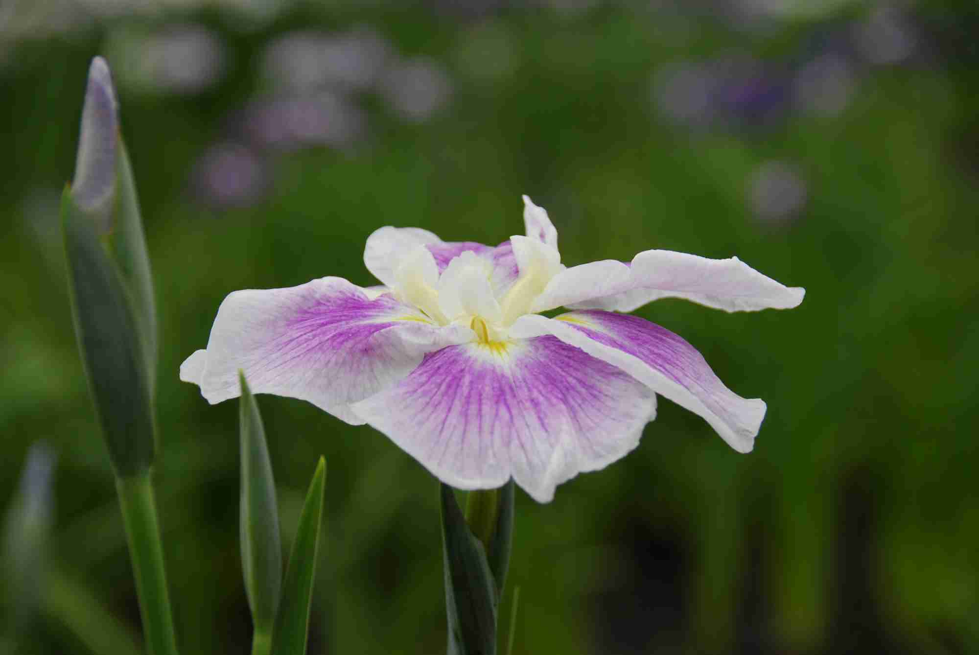 04