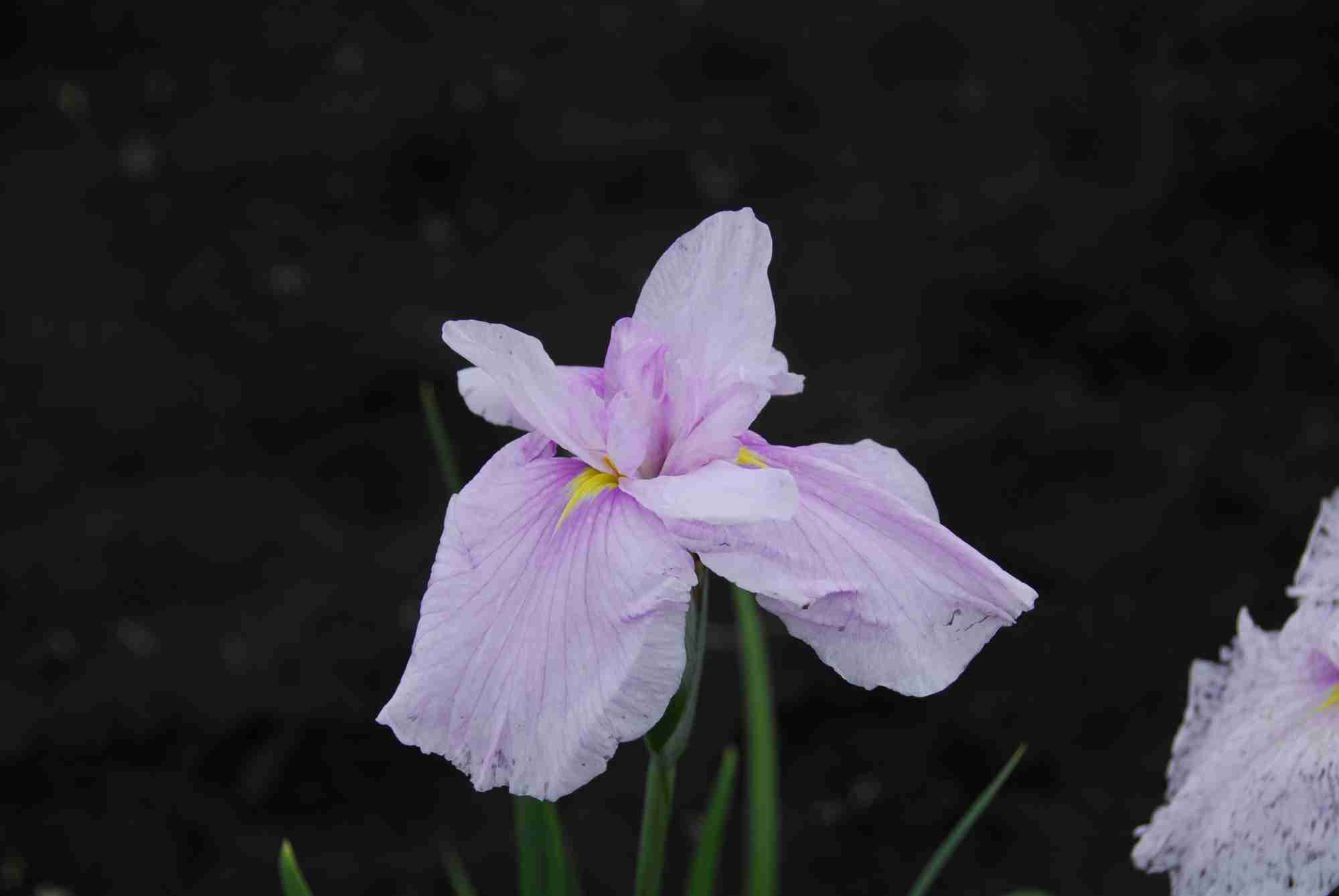 08
