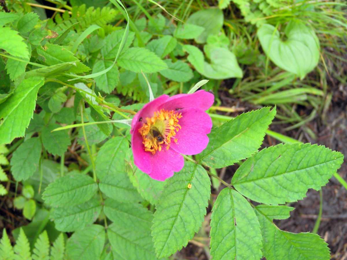 15
