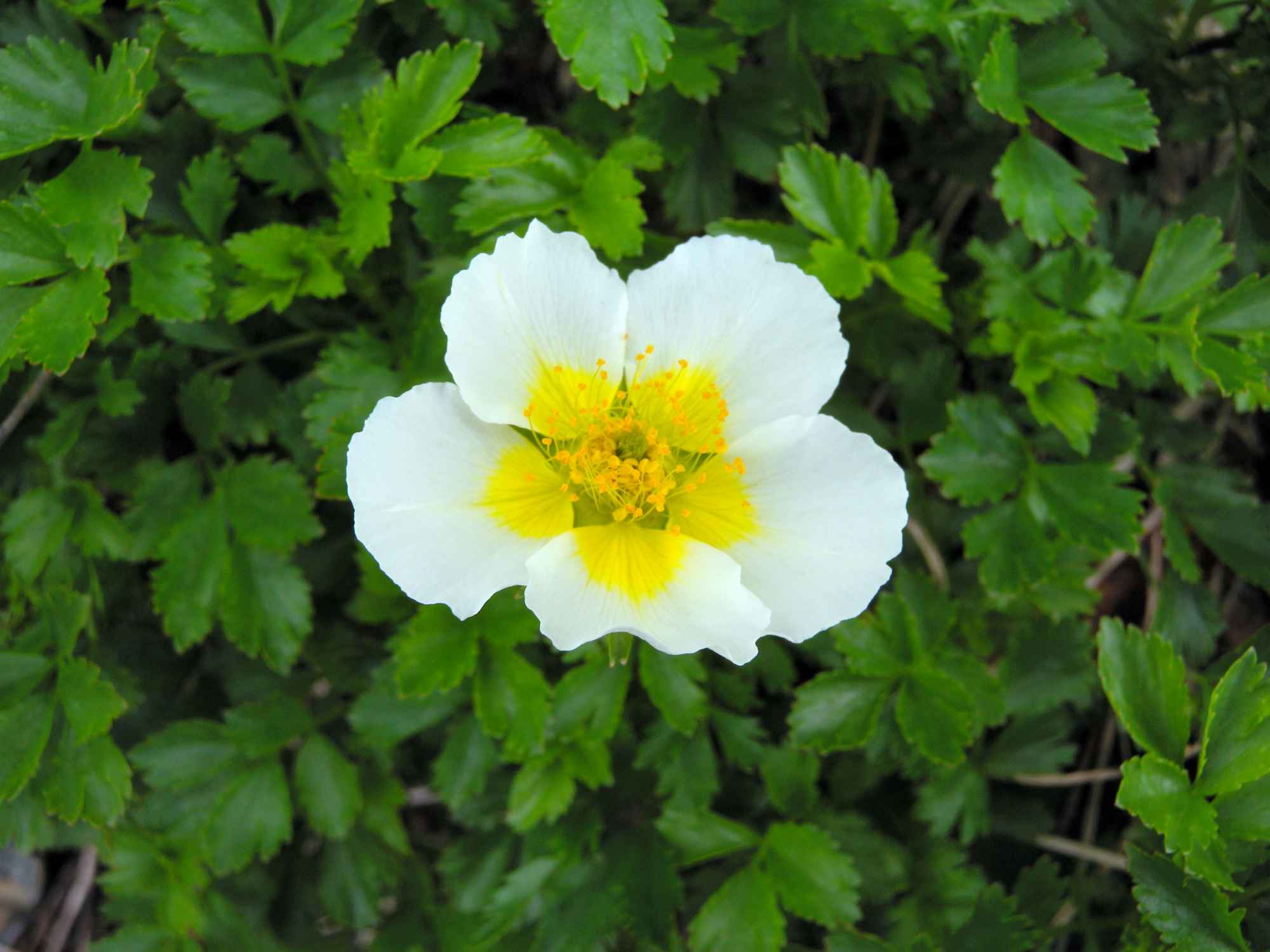 08