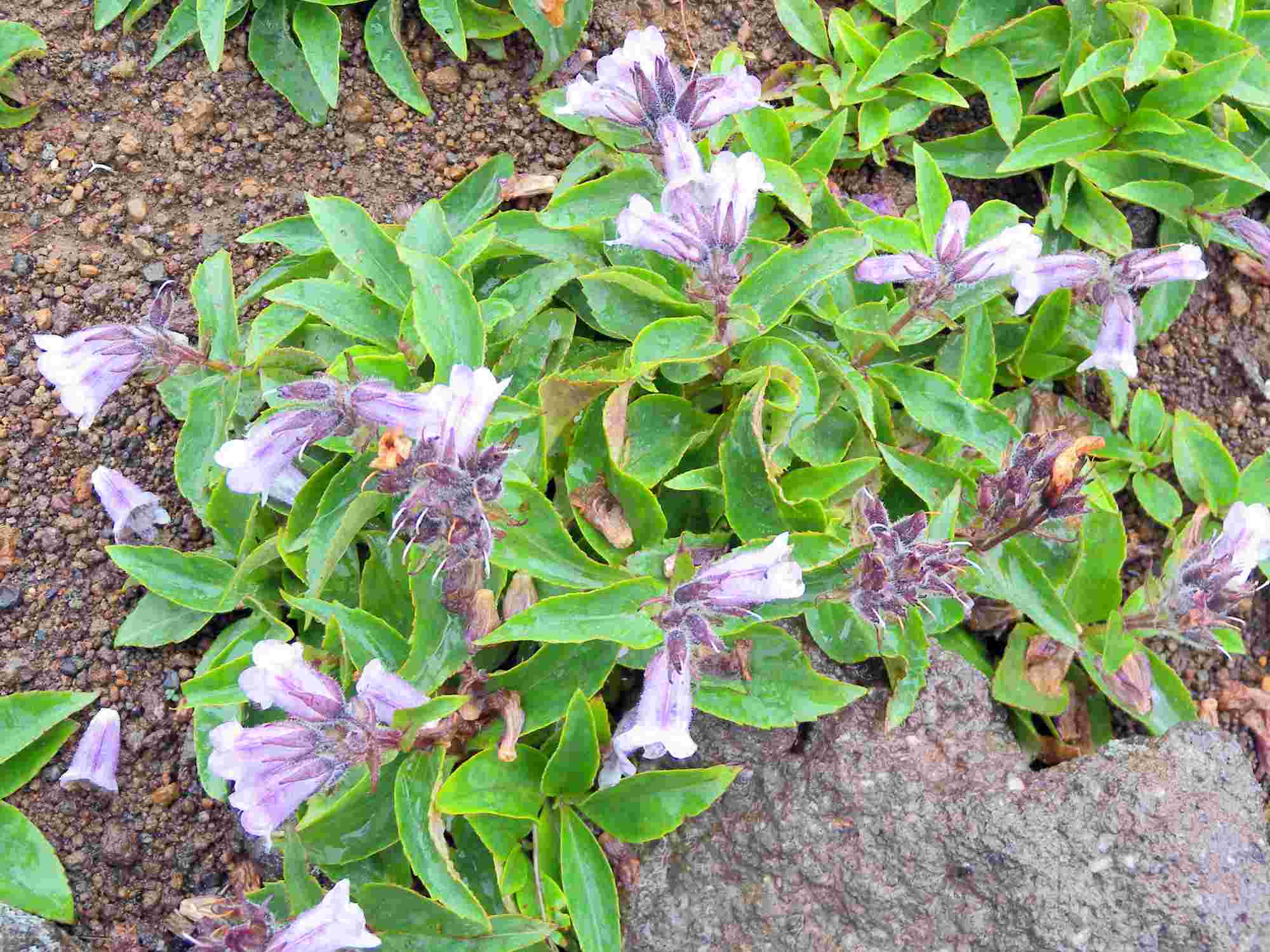 05