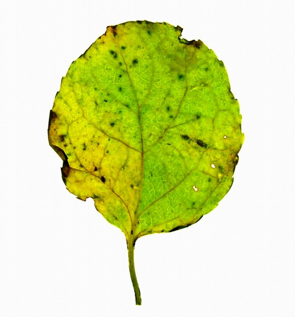 08