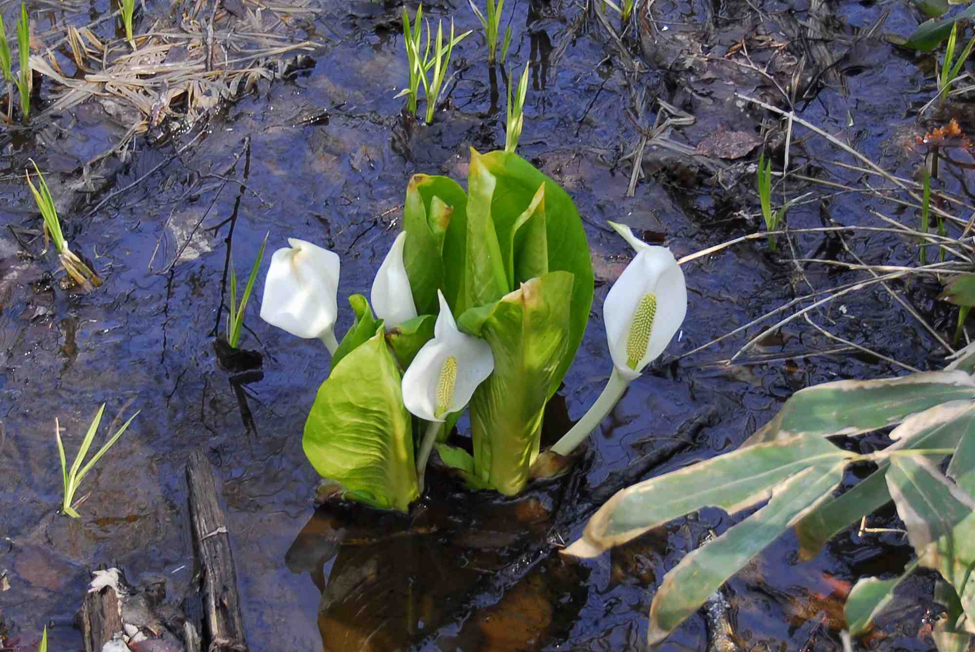 04
