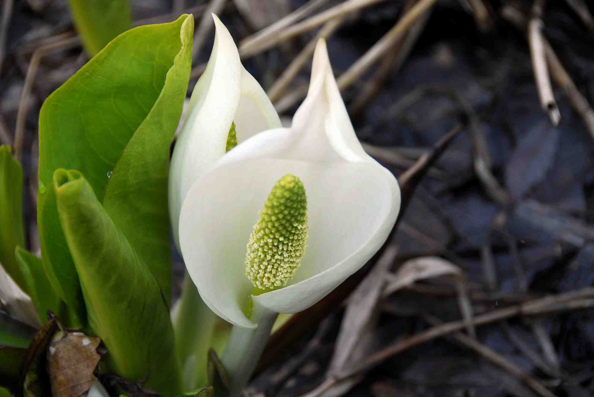 08