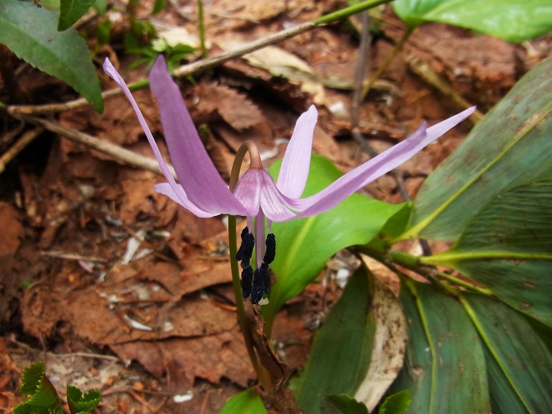 05