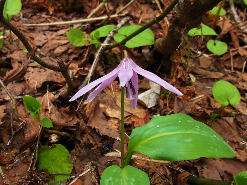07