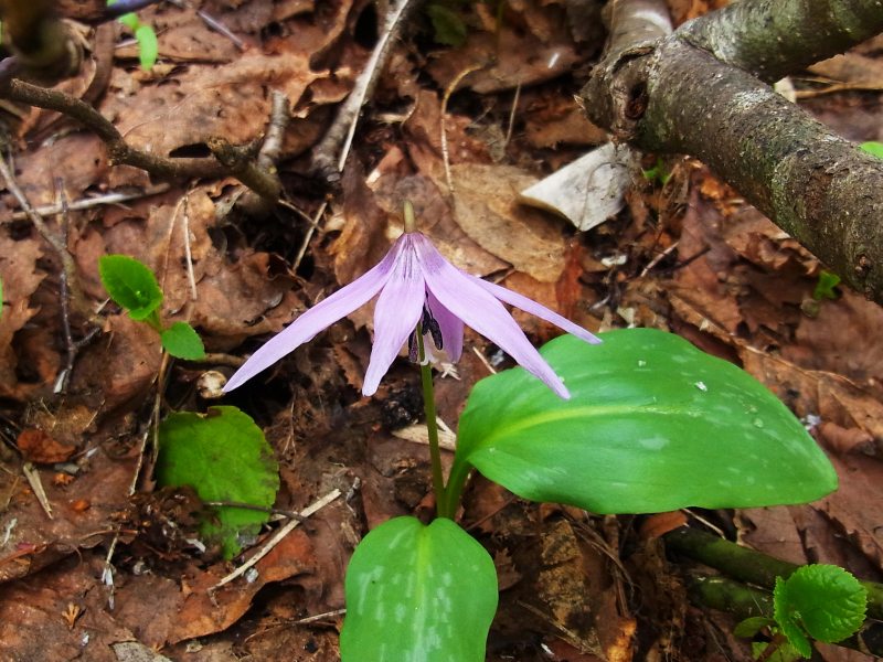 08