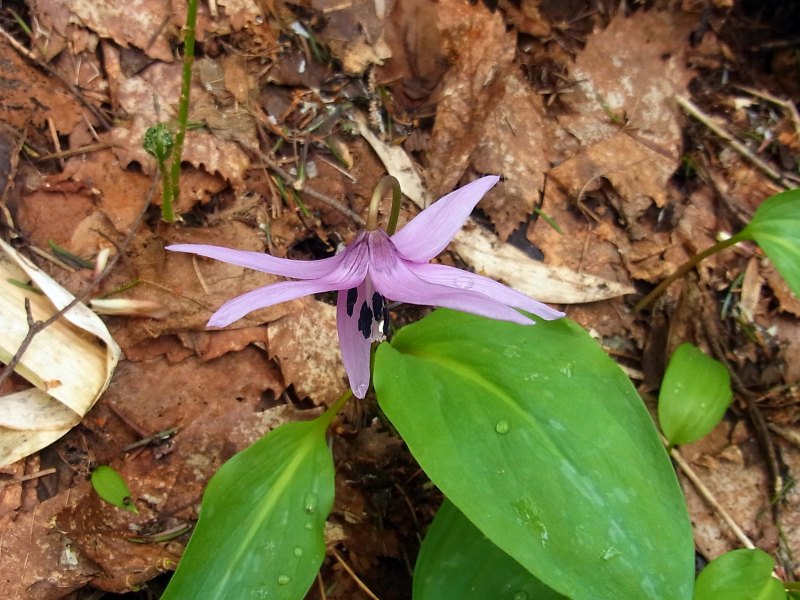 09