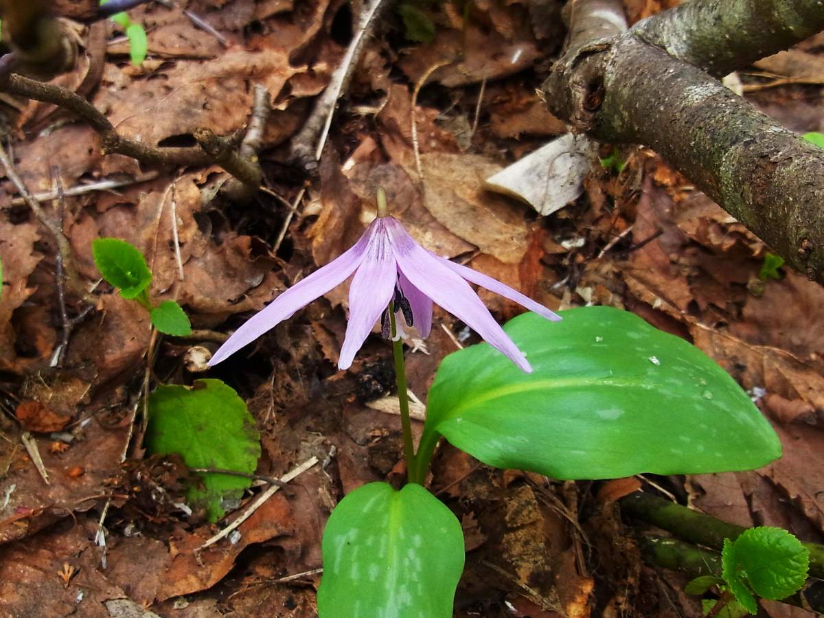08