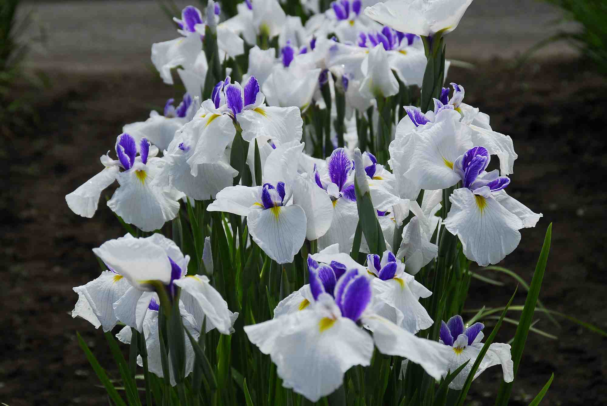 01