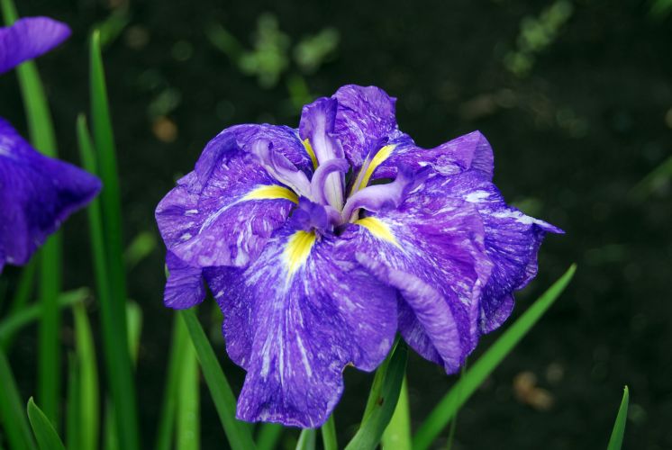 07