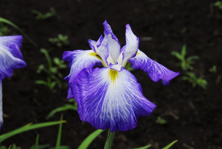 08