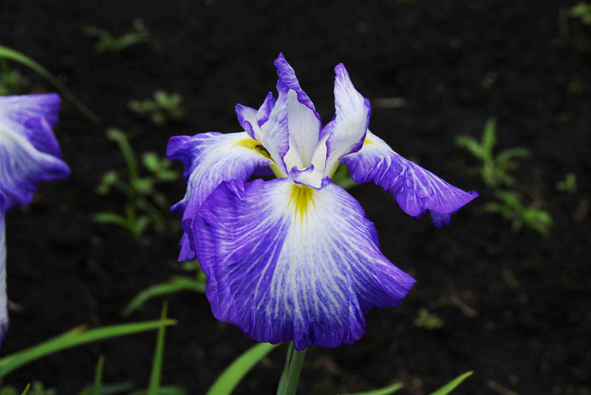 08