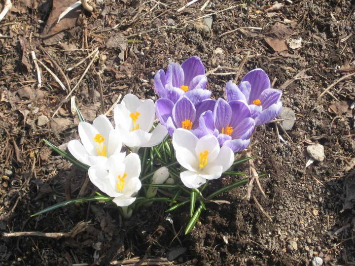 05
