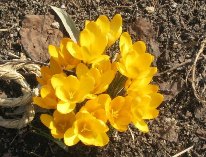 07