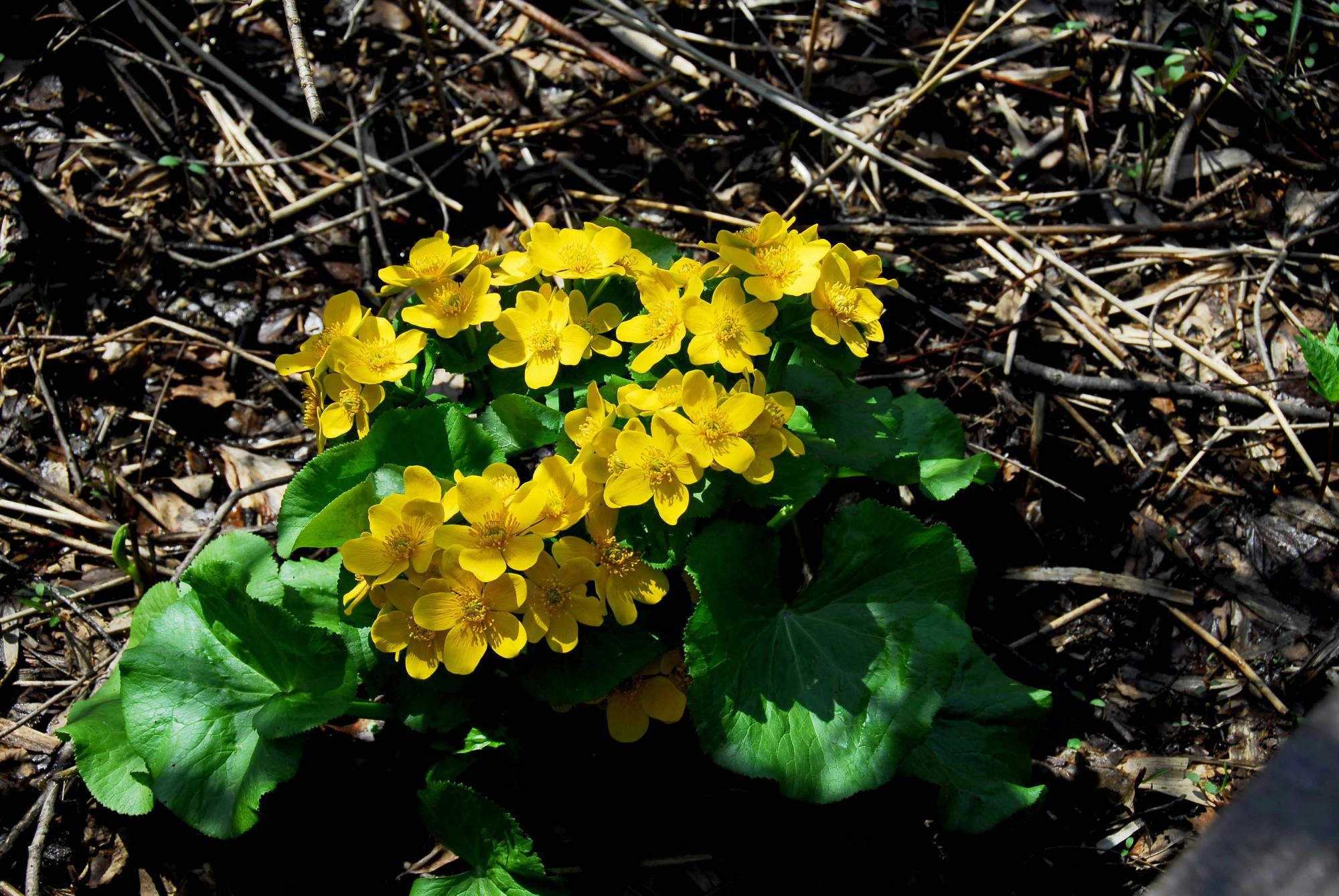 08