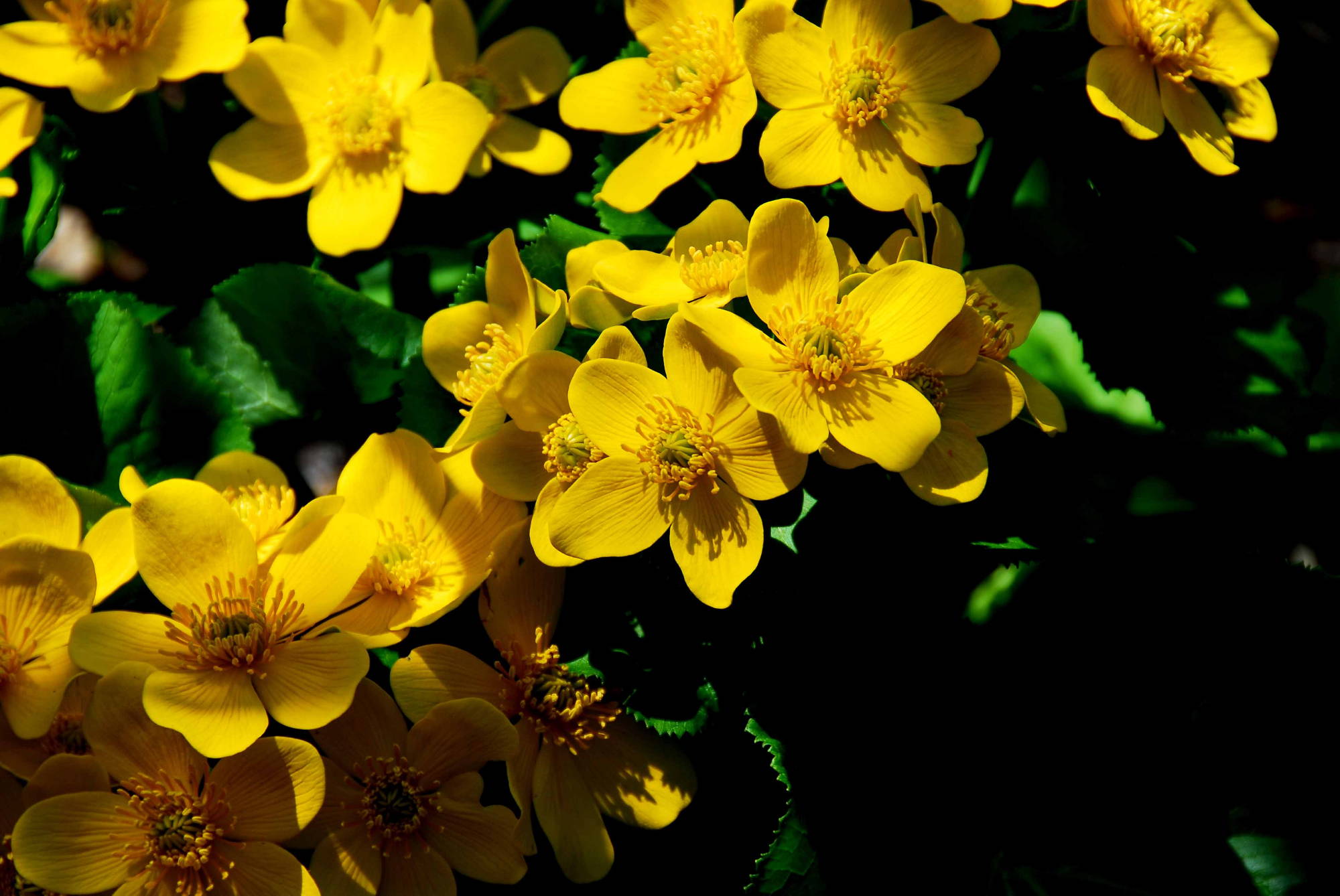09