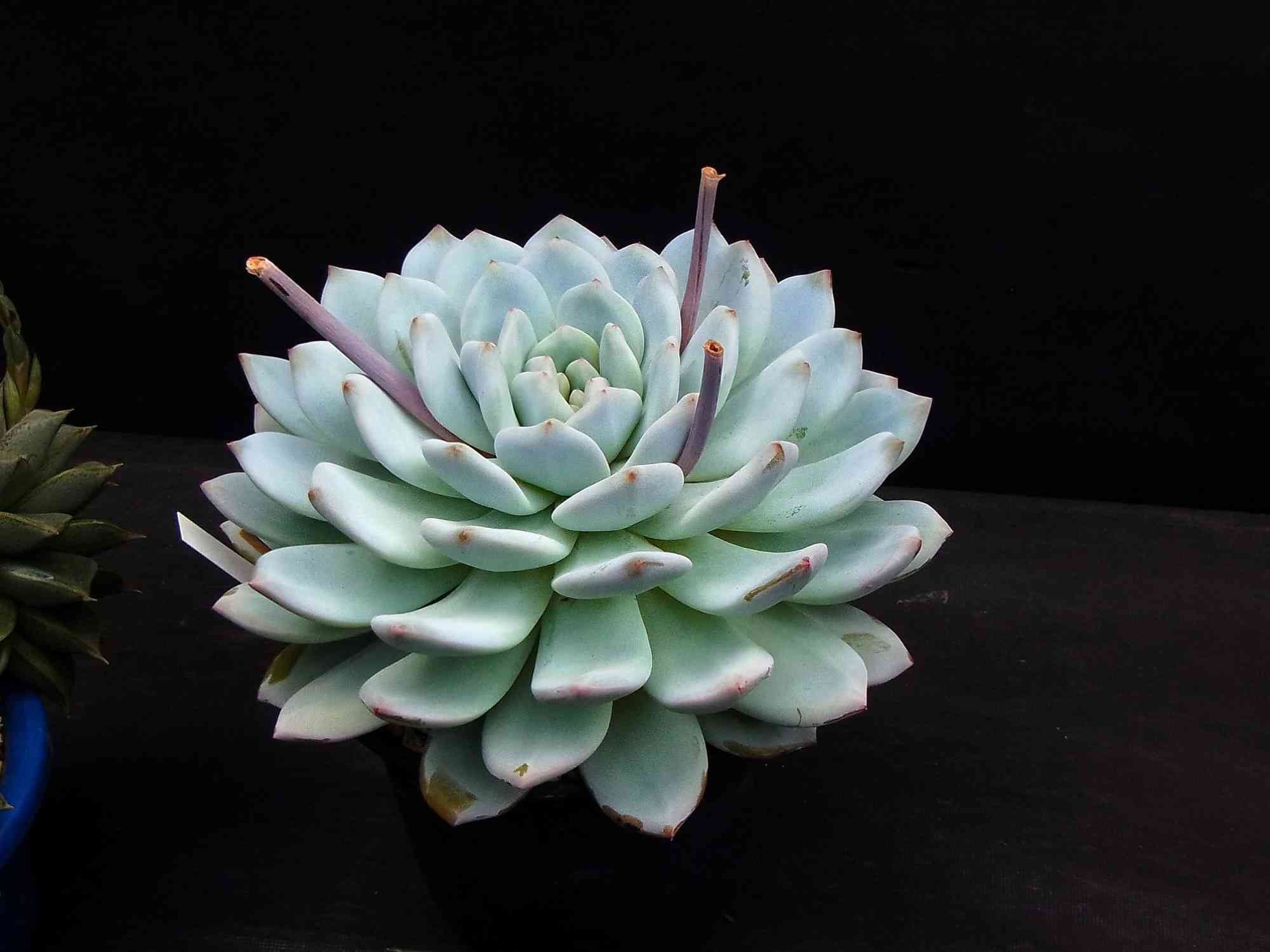 08