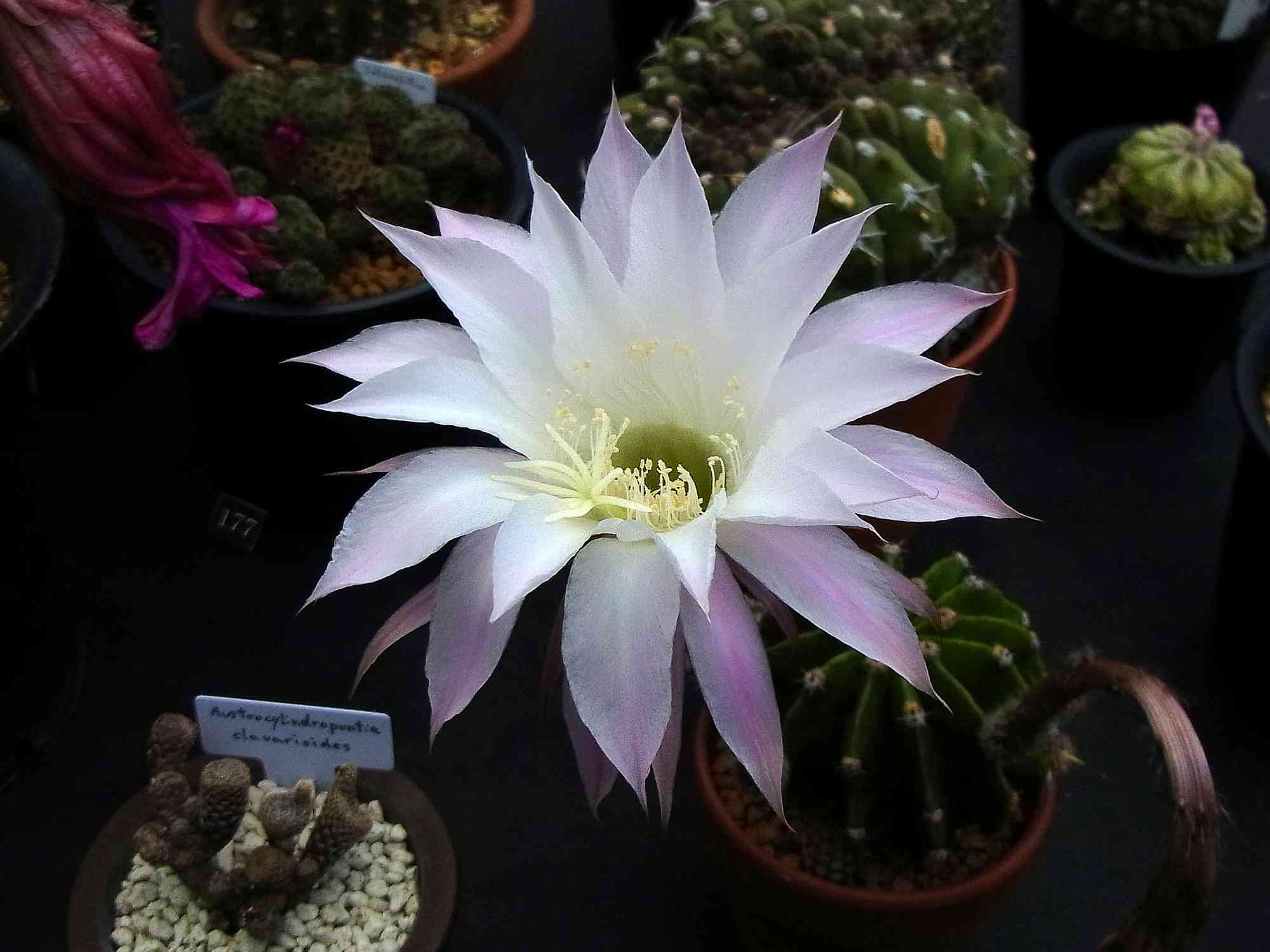 08