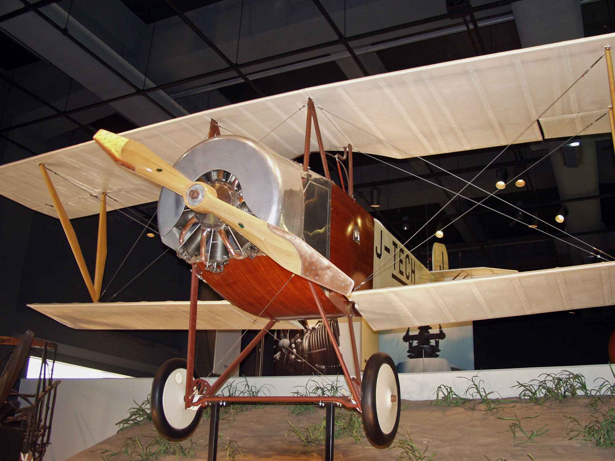 16