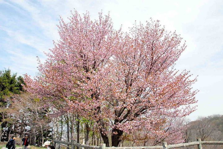 08