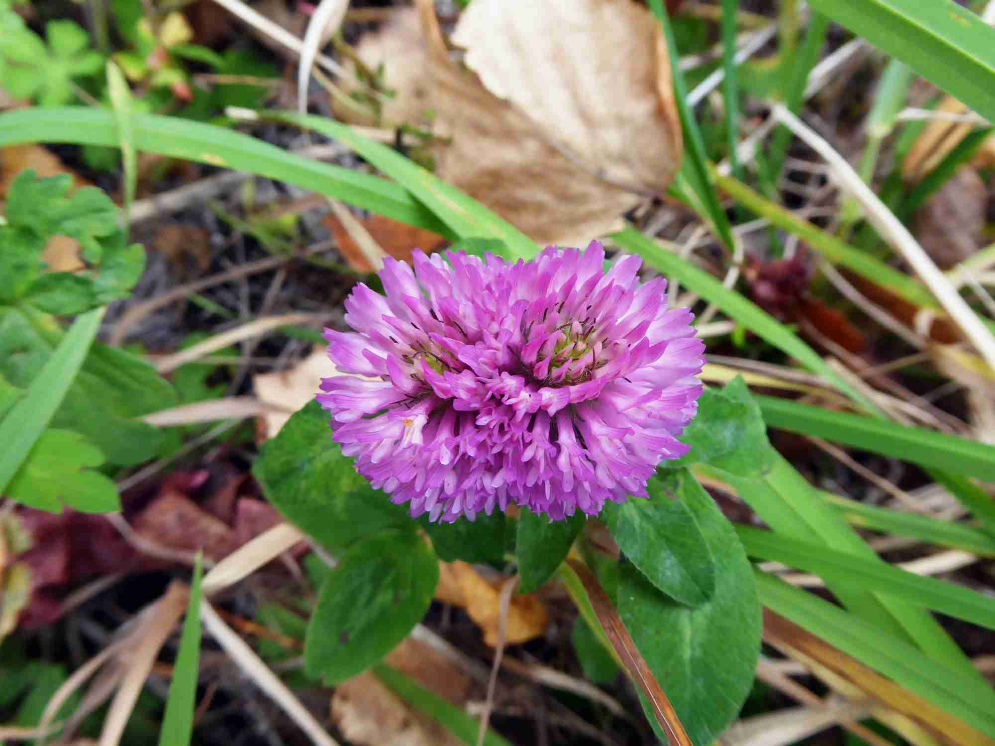 25