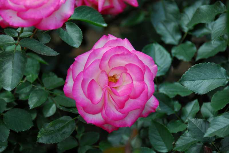 05