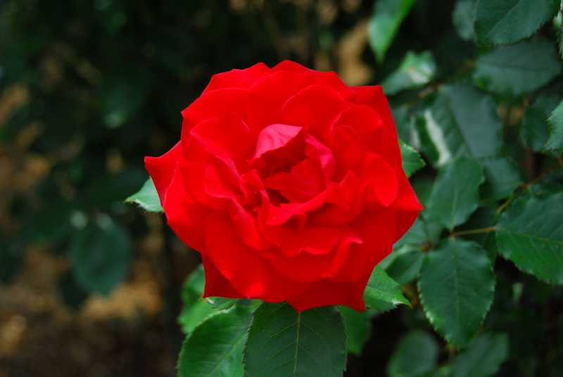 07