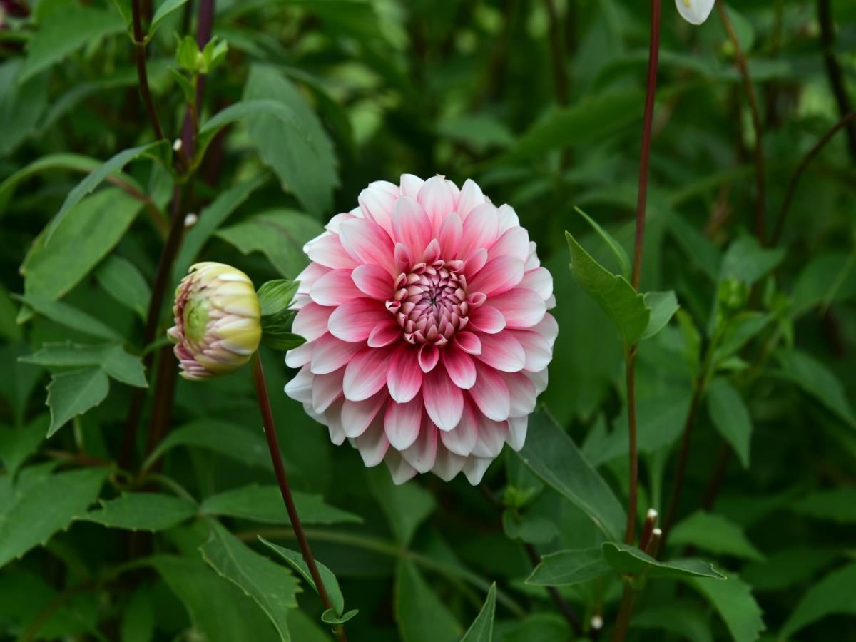 02