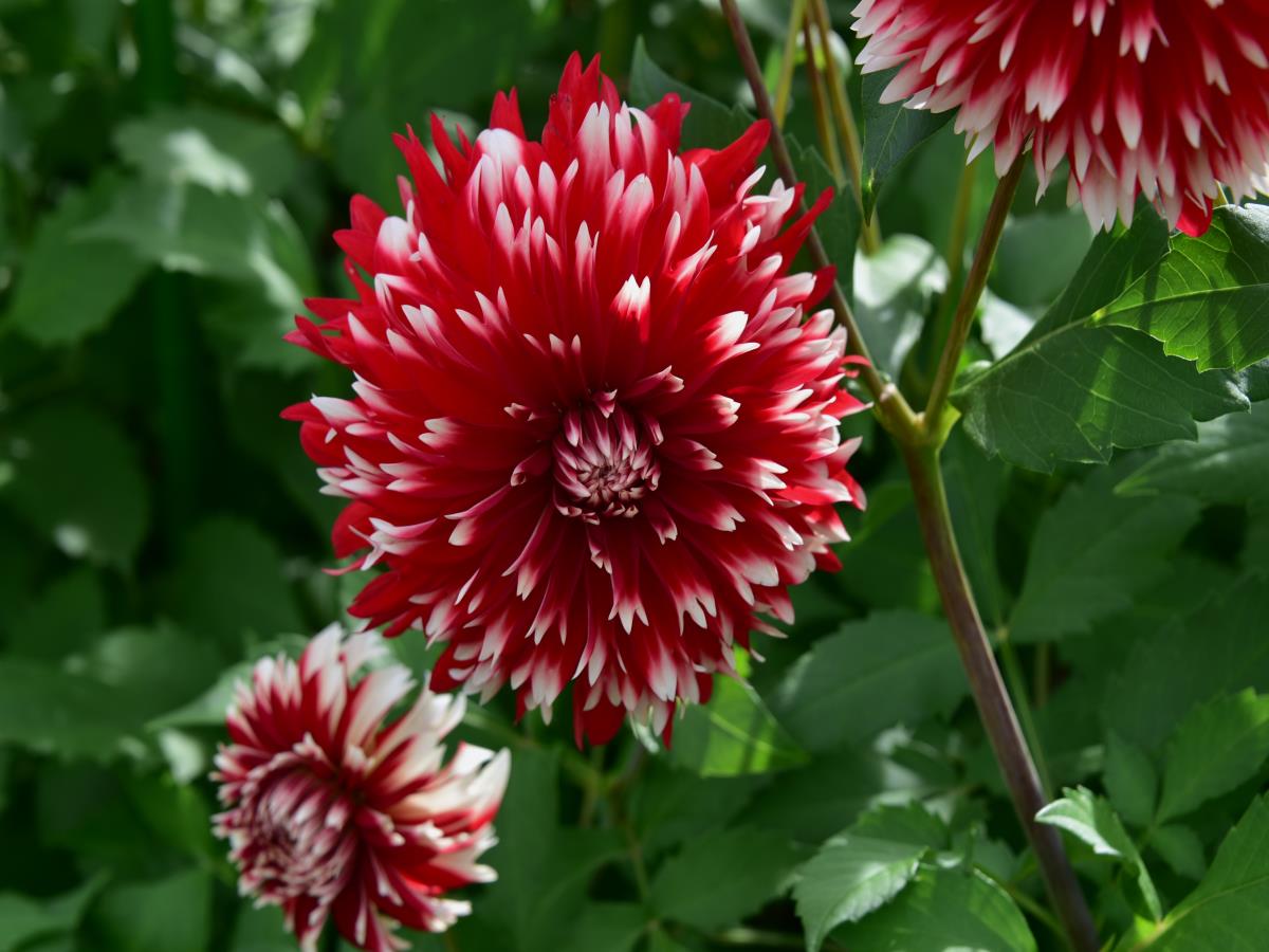 08