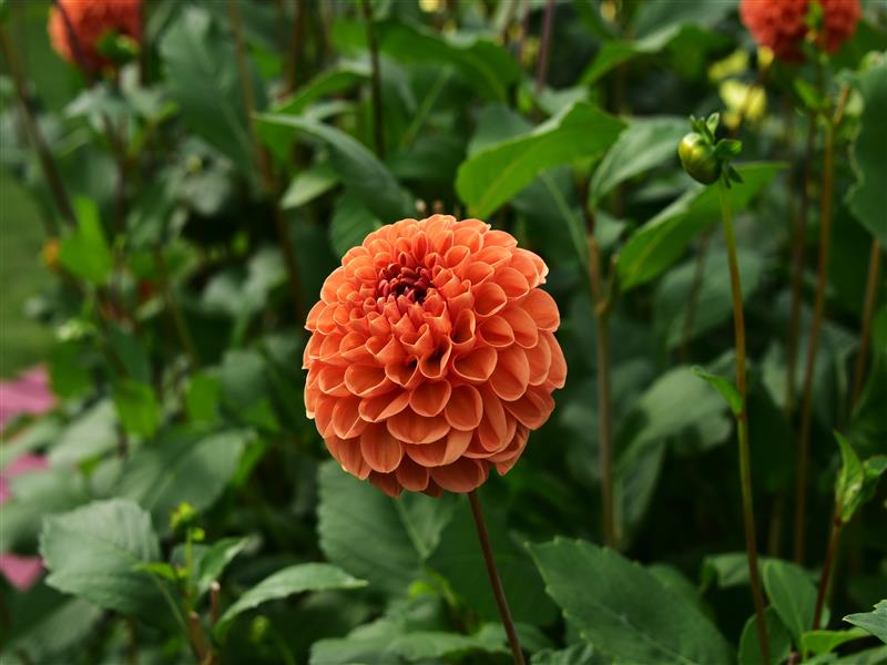 09