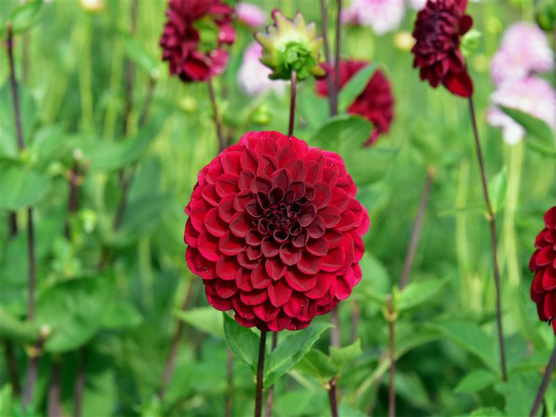 08