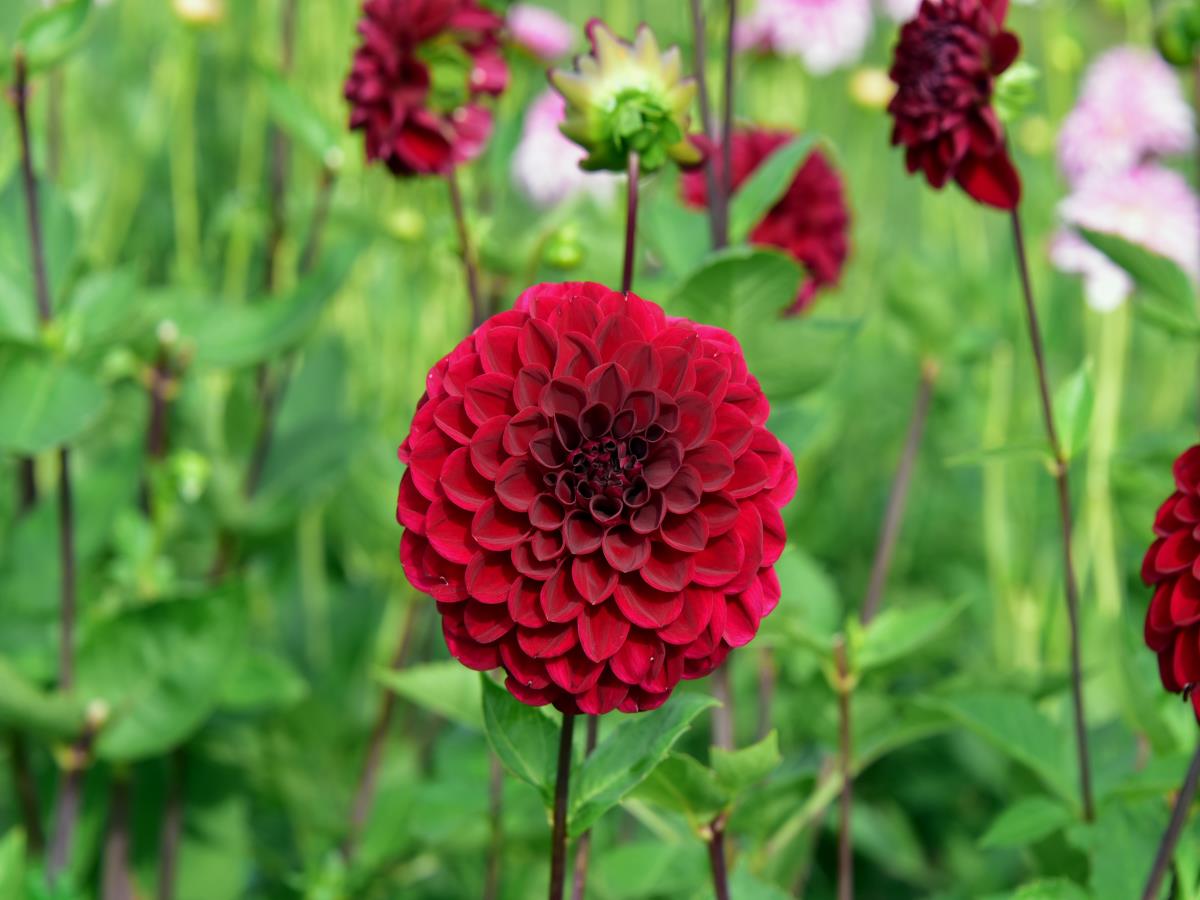 08