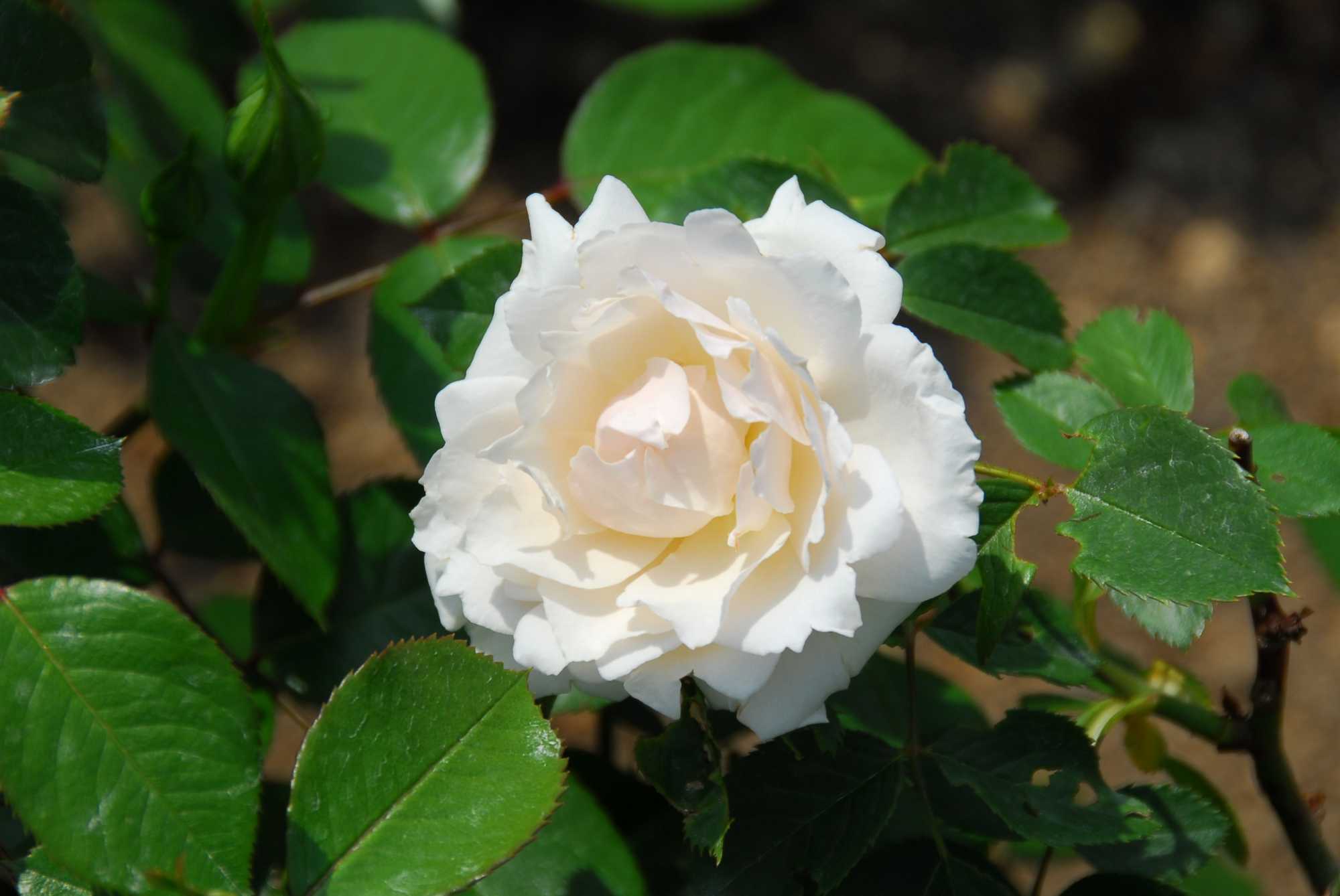 06